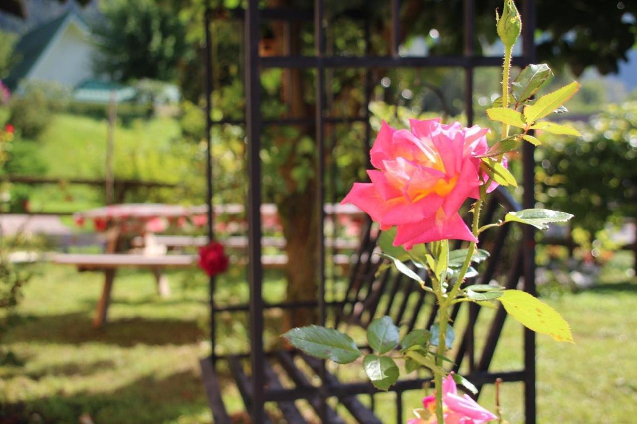 Villa Rose Garden à Tezze Extérieur photo